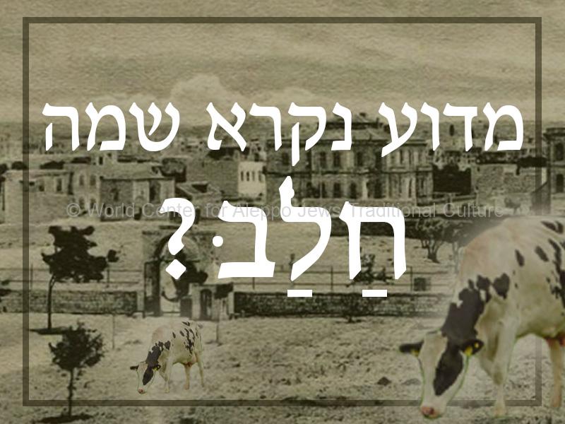 מדוע-חלב2