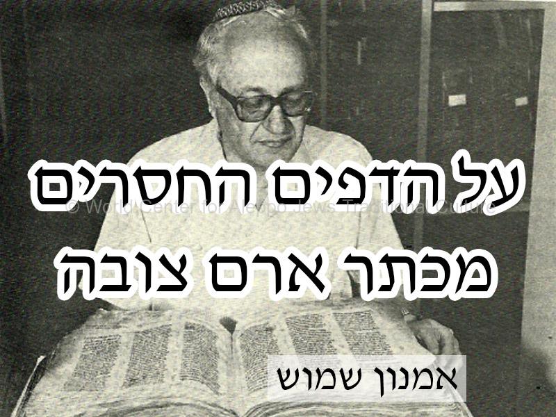 אמנון-שמוש5