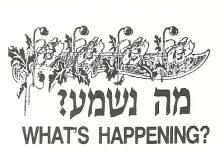 מחדשות המרכז מס'5