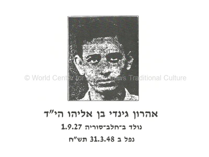 אהרון-גינדי-זל