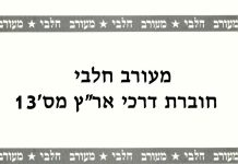 מעורב חלבי – שנת 2001