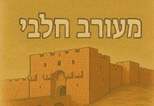 מעורב חלבי 1993